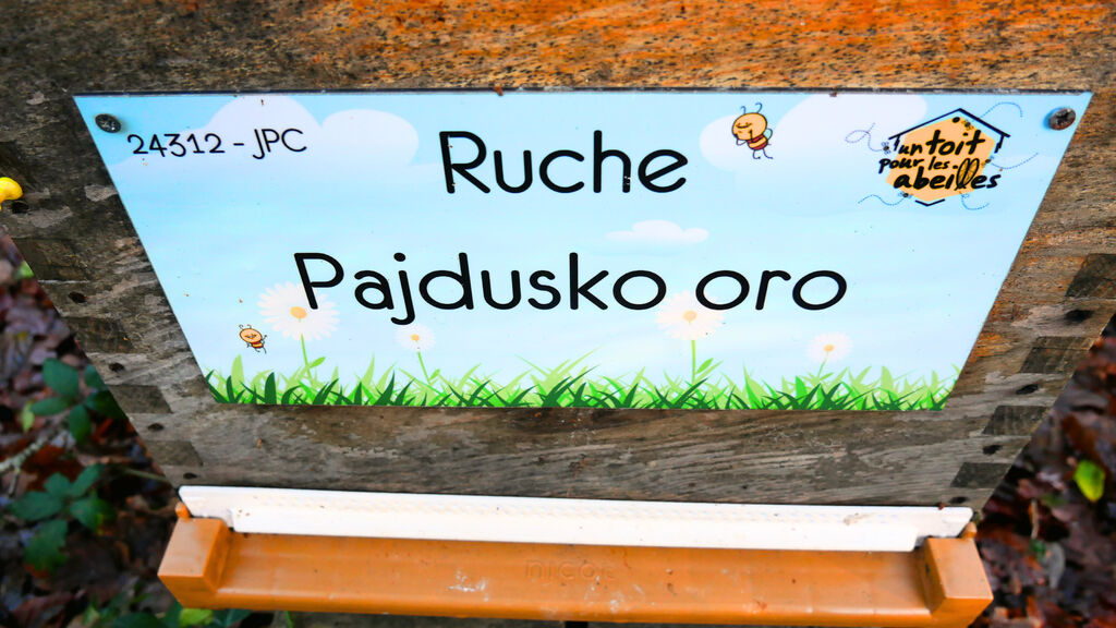La ruche Pajdusko oro