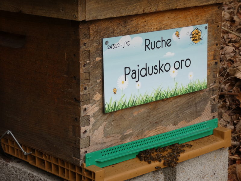La ruche Pajdusko oro