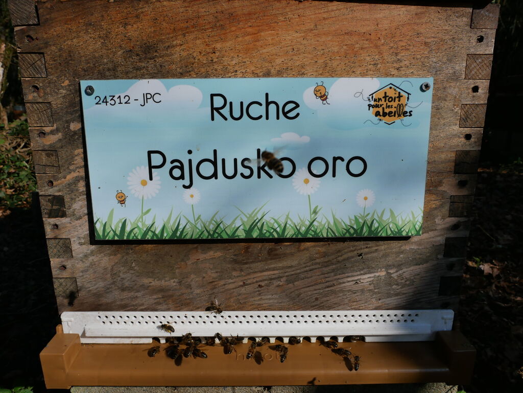 La ruche Pajdusko oro
