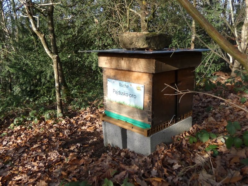 La ruche Pajdusko oro