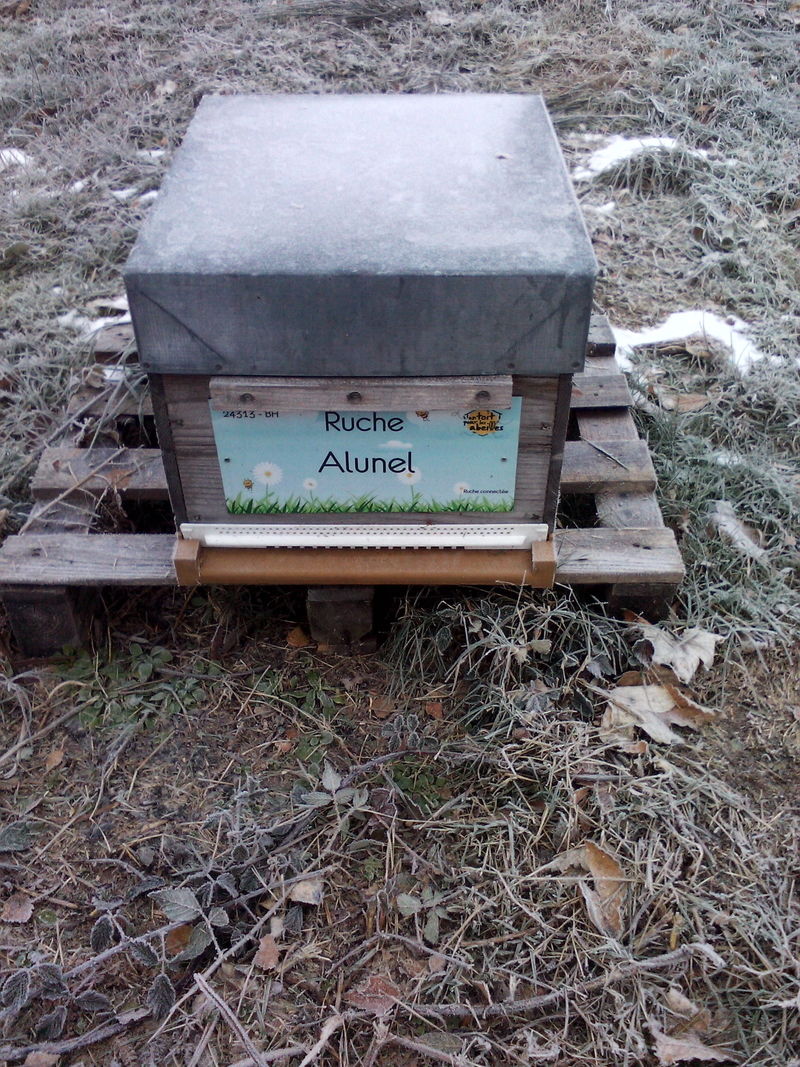 La ruche Alunel