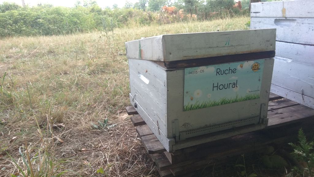 La ruche