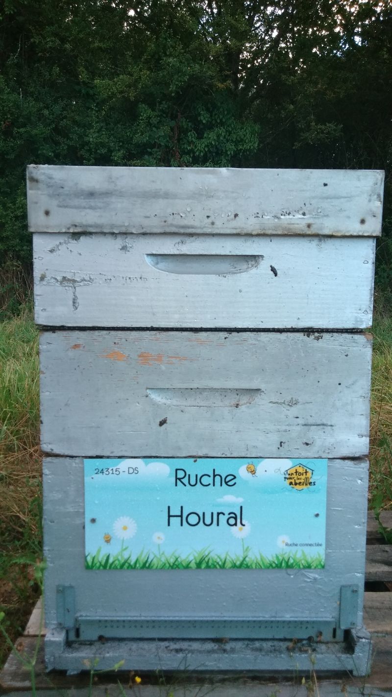 La ruche Houral