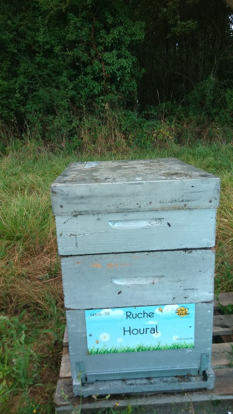 La ruche Houral