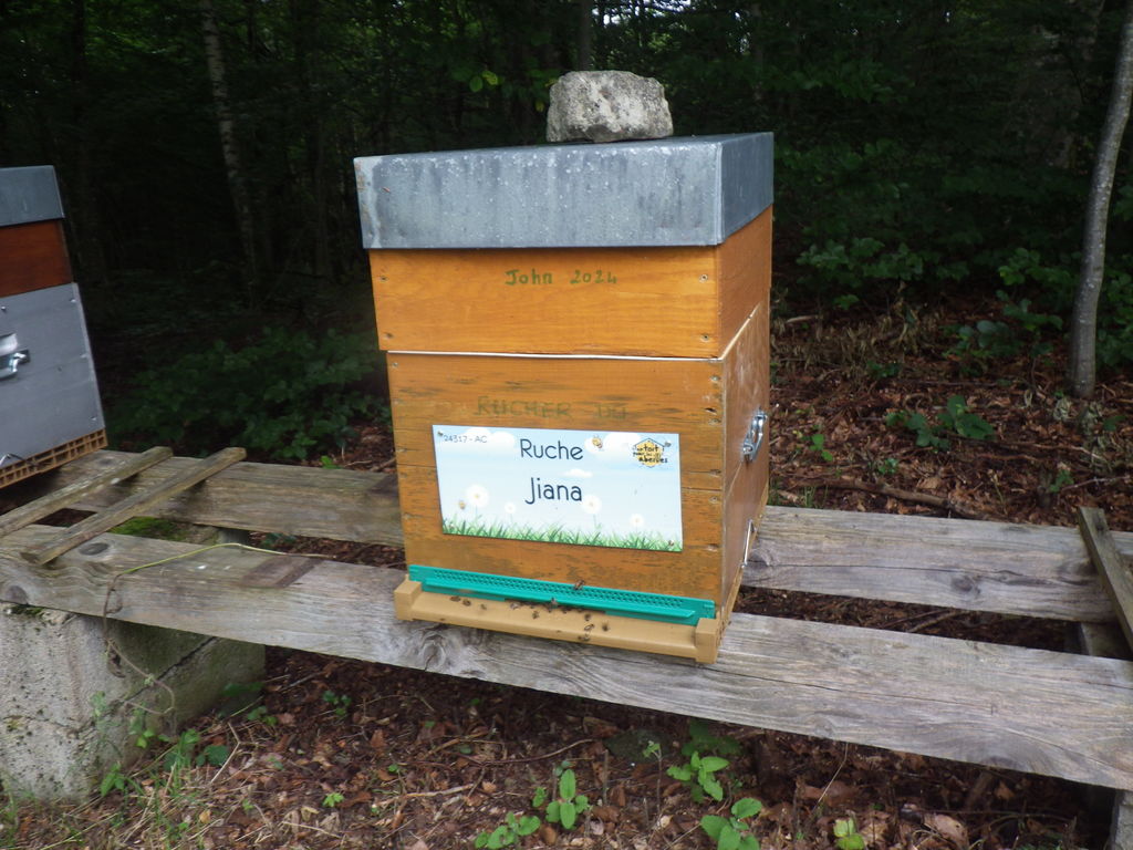 La ruche Jiana