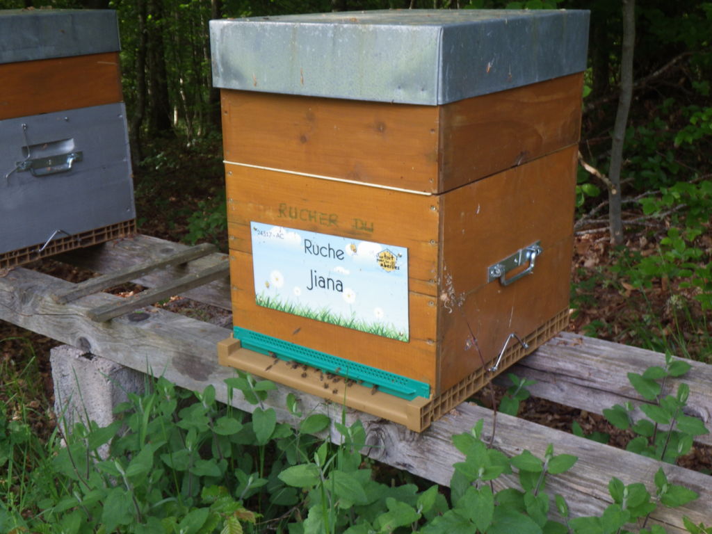 La ruche Jiana