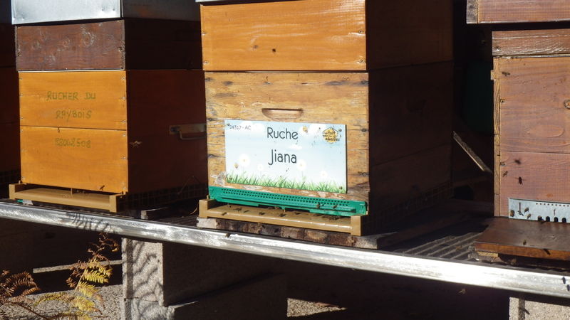 La ruche Jiana