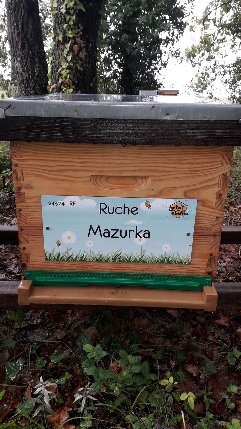 La ruche