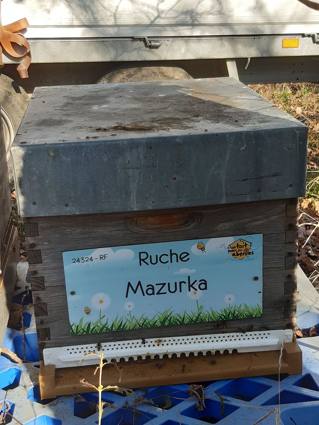La ruche
