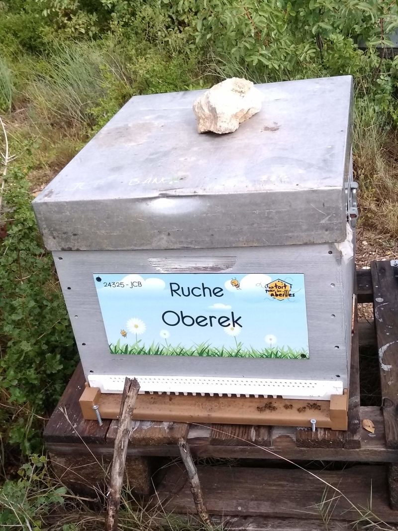 La ruche