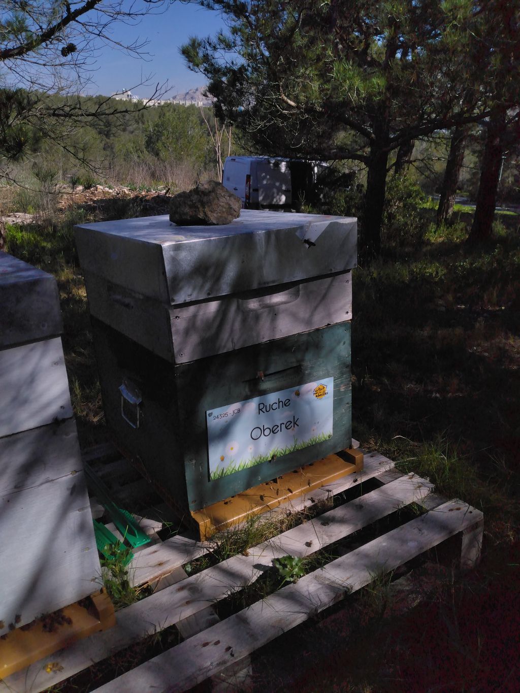 La ruche Oberek