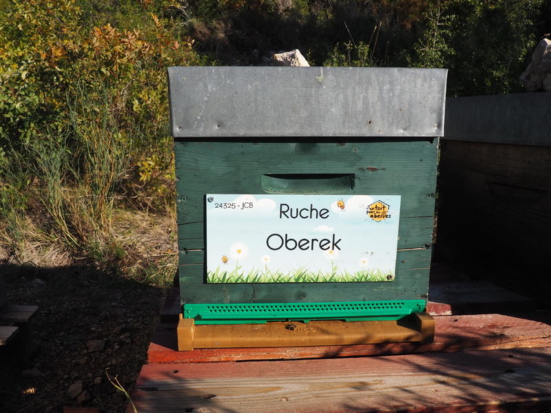La ruche Oberek