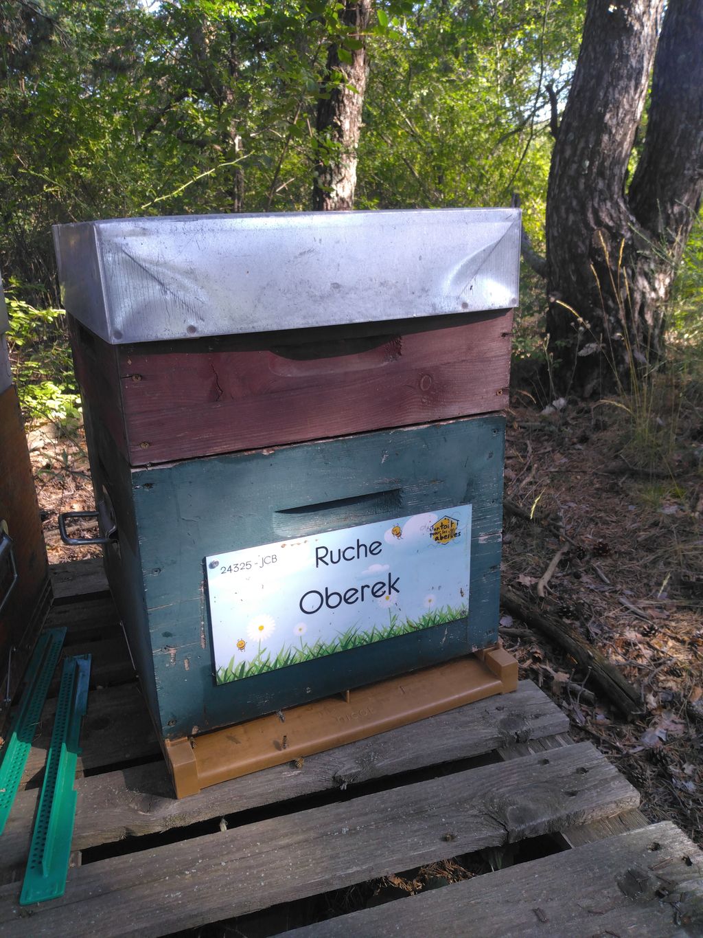La ruche Oberek