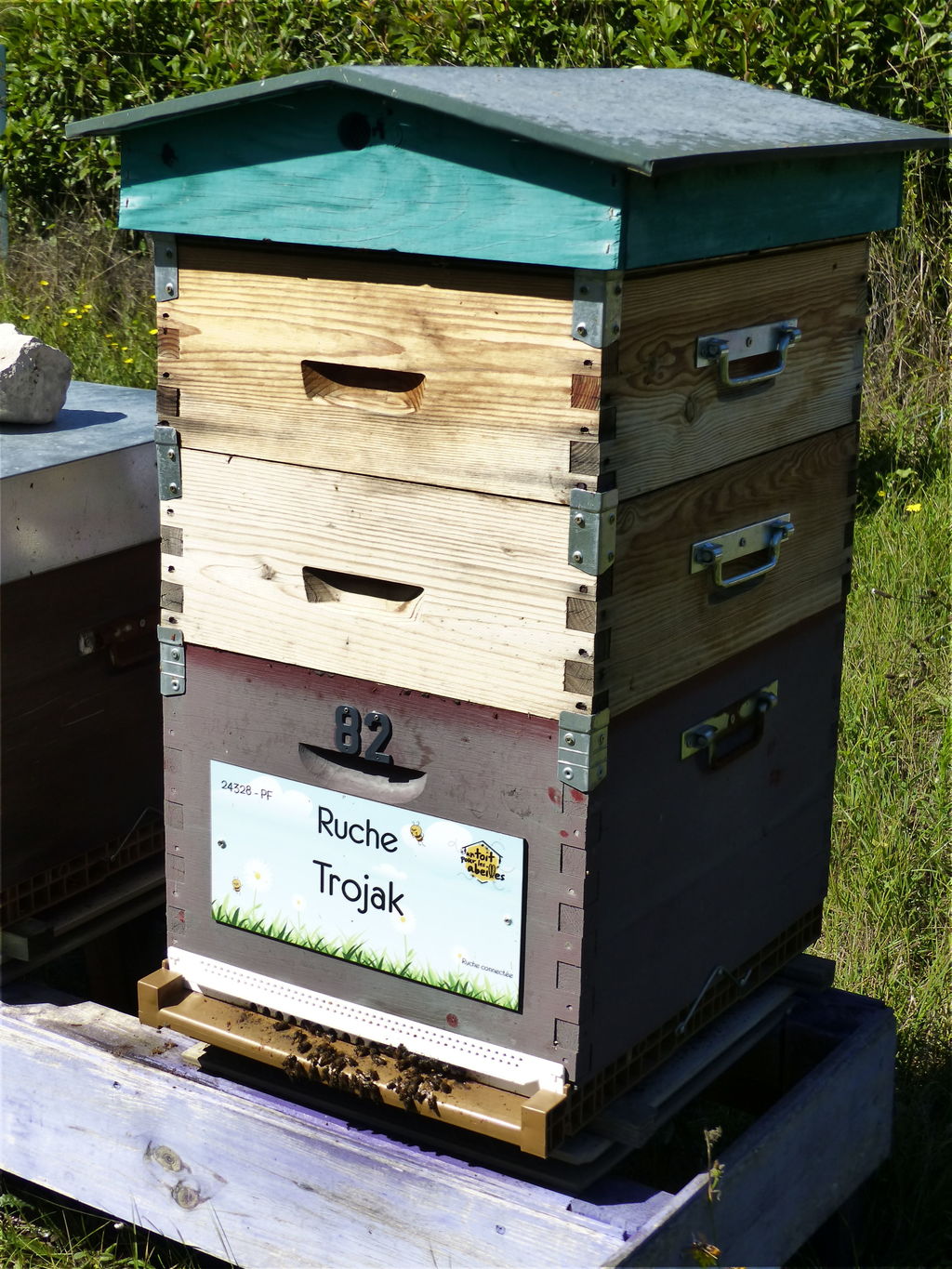 La ruche Trojak