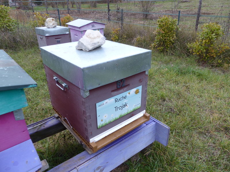 La ruche Trojak