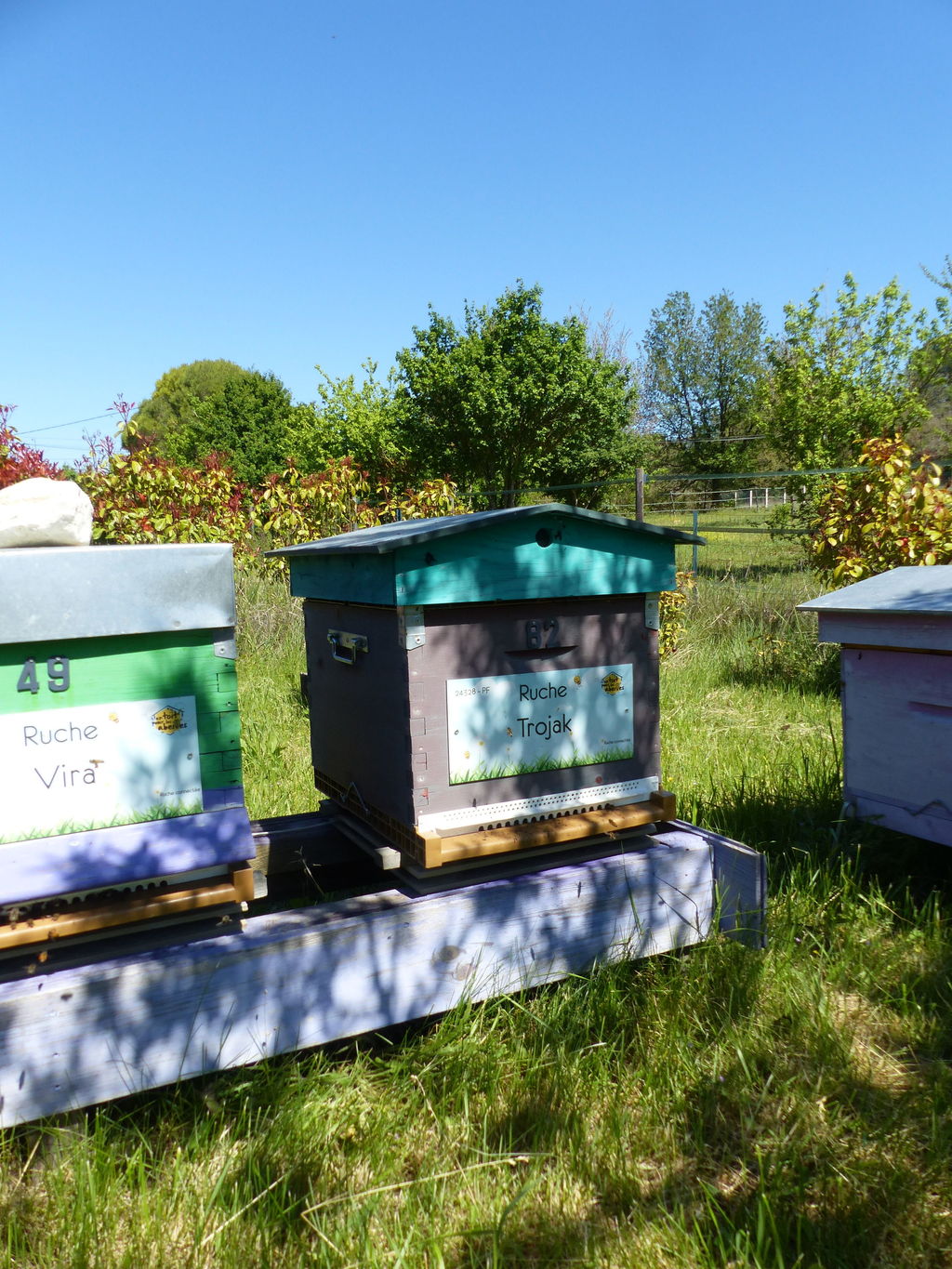 La ruche Trojak