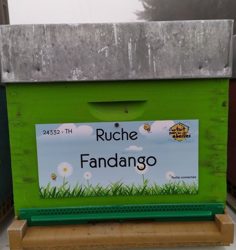 La ruche Fandango