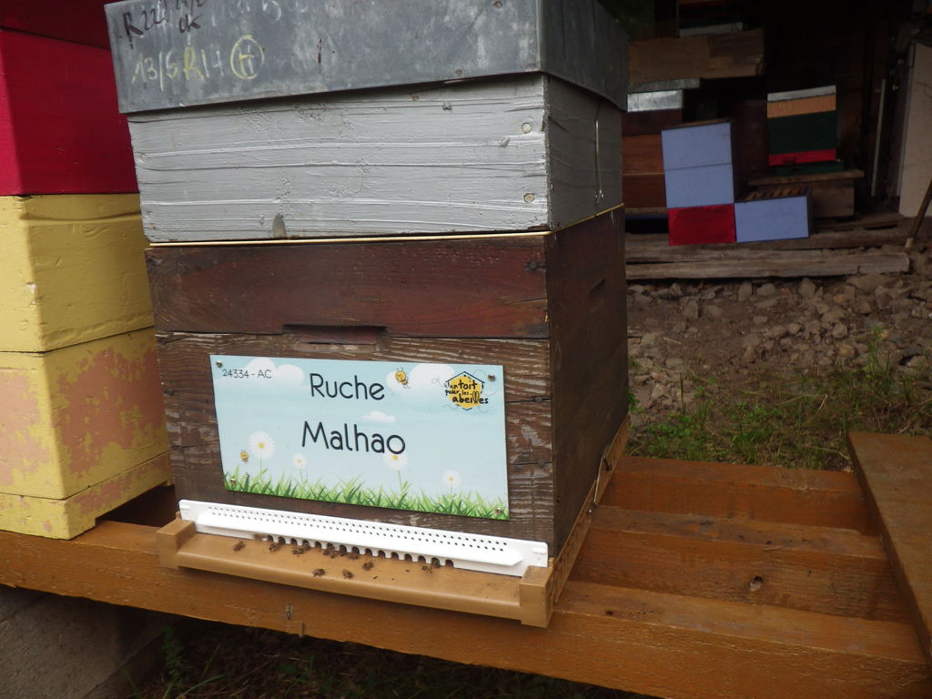 La ruche Malhao