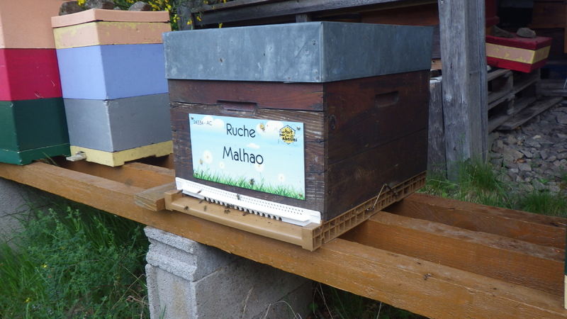 La ruche Malhao