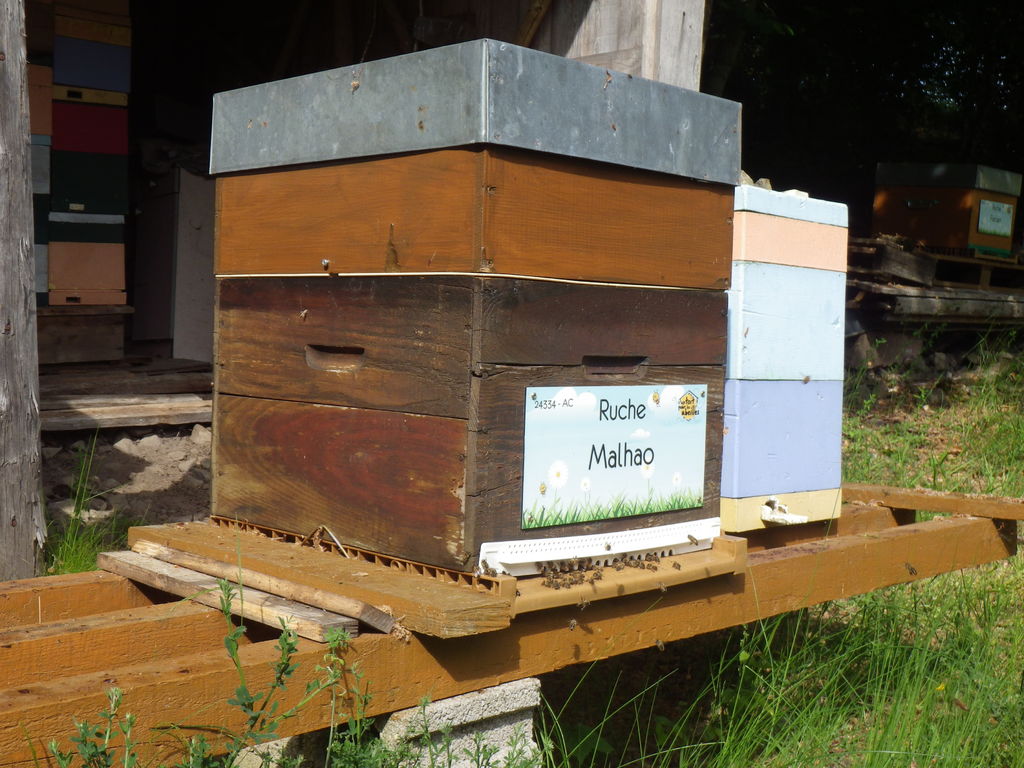 La ruche Malhao