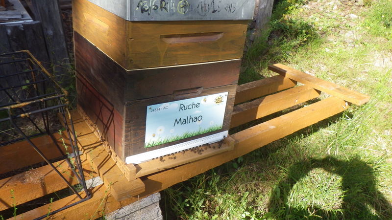 La ruche Malhao
