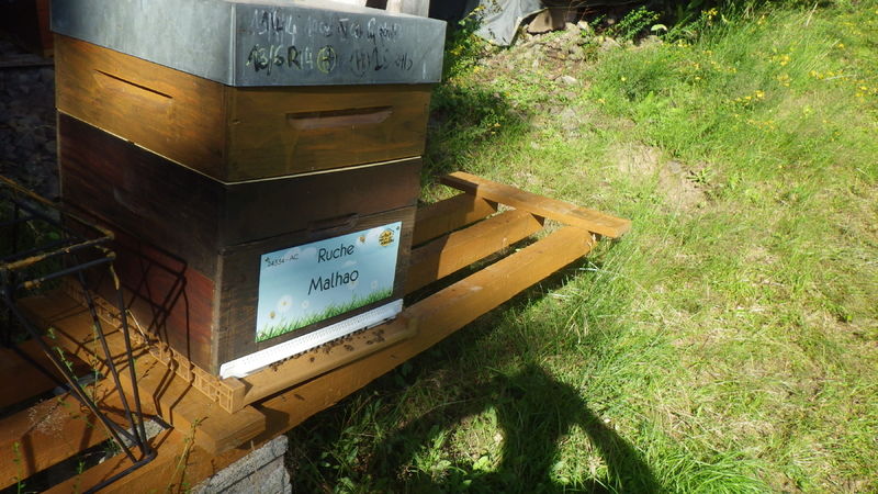 La ruche Malhao