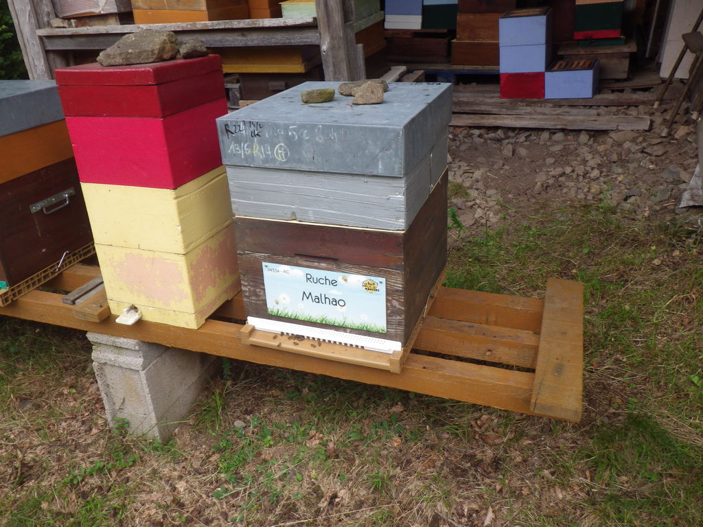 La ruche Malhao