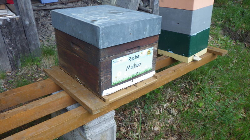 La ruche Malhao