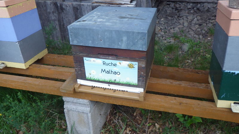 La ruche Malhao