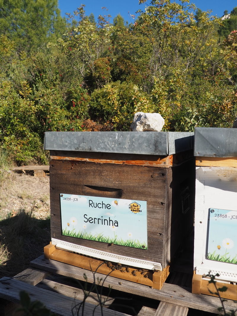 La ruche Serrinha