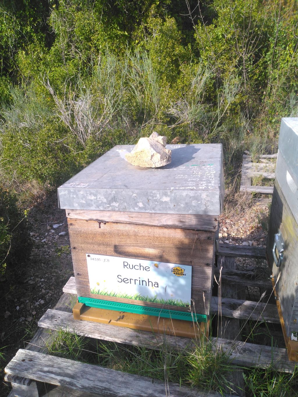 La ruche Serrinha