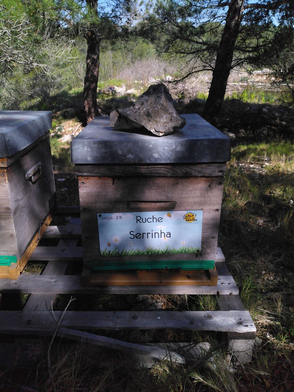 La ruche Serrinha