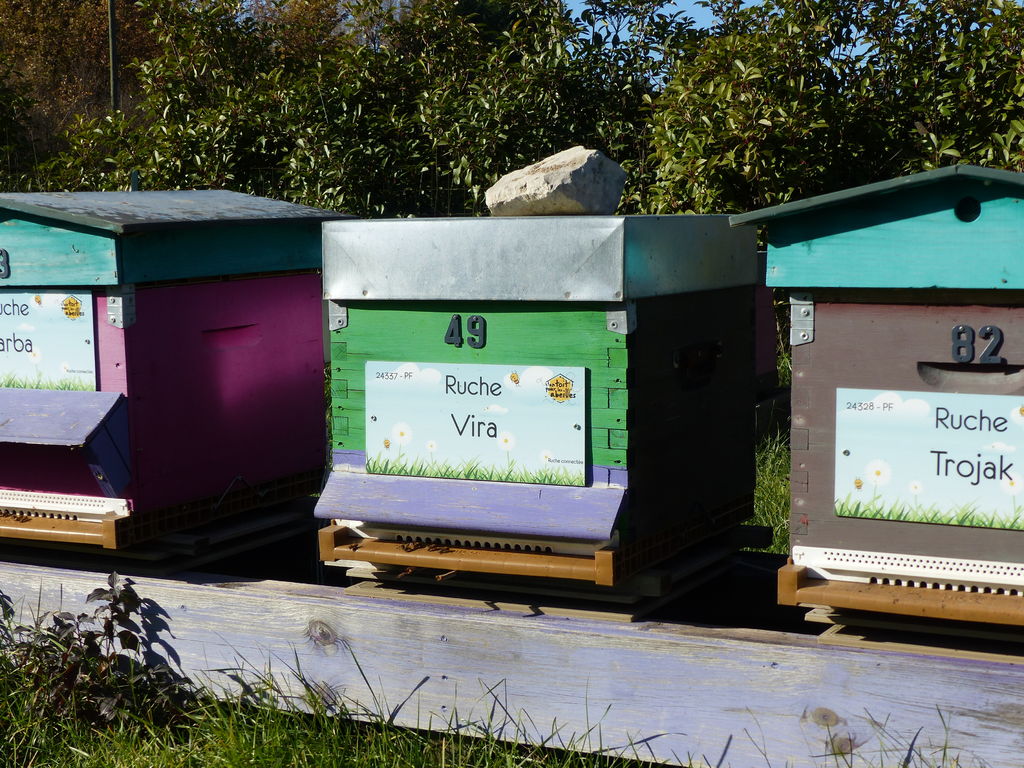 La ruche Vira