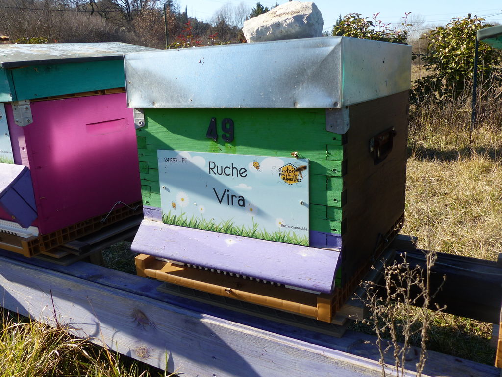 La ruche Vira