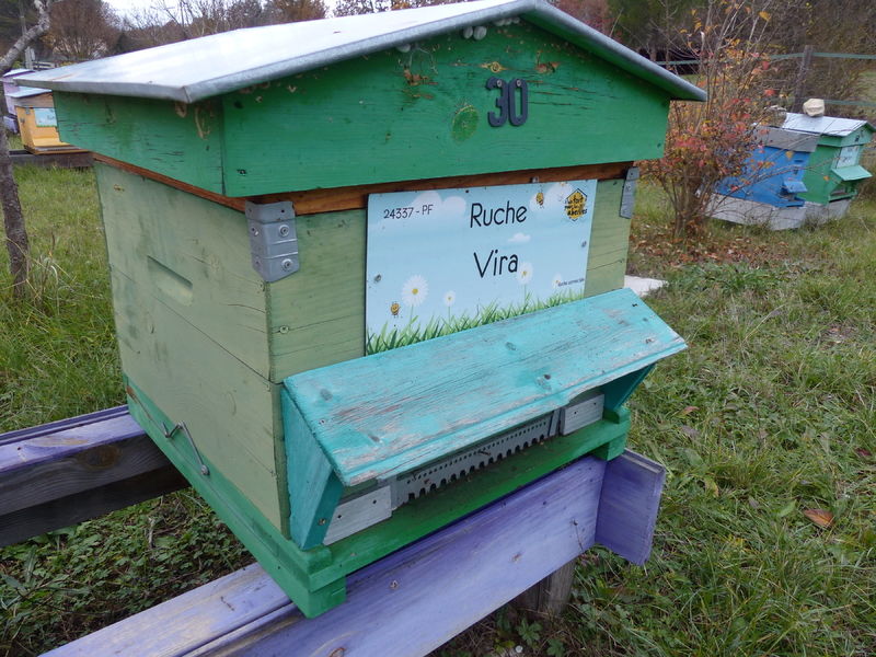 La ruche Vira