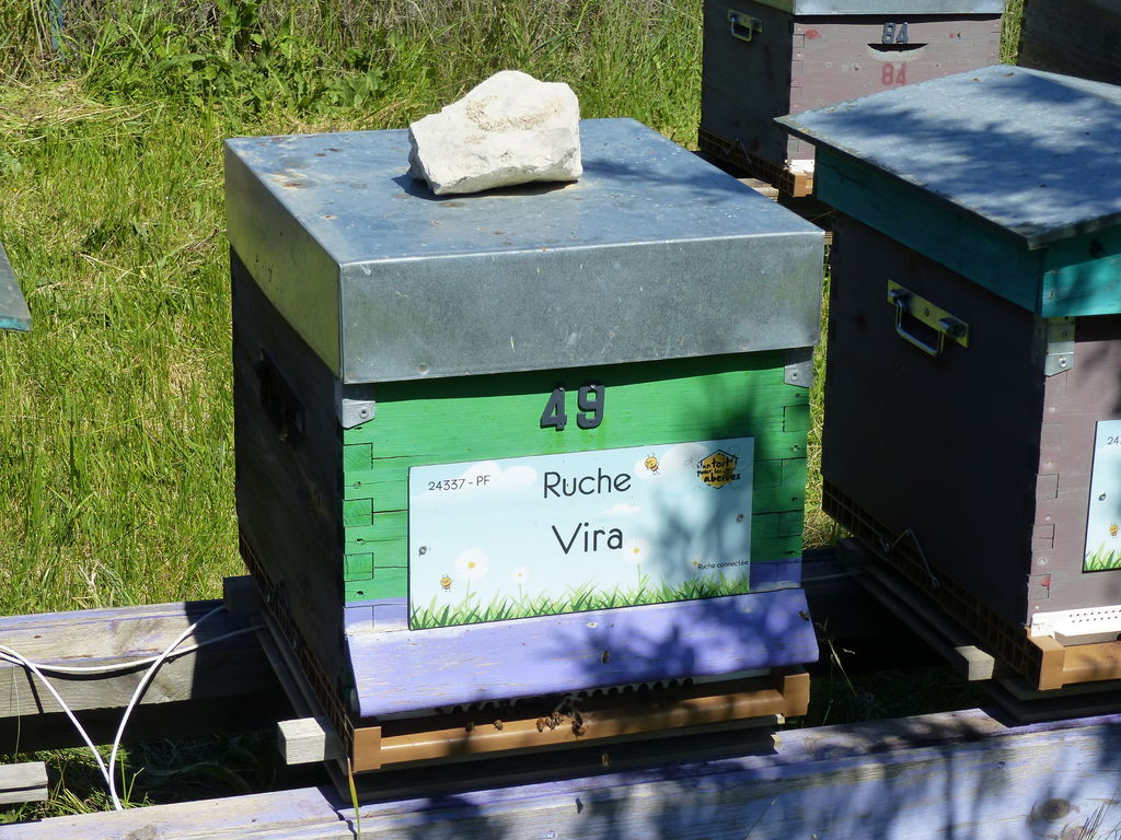 La ruche Vira