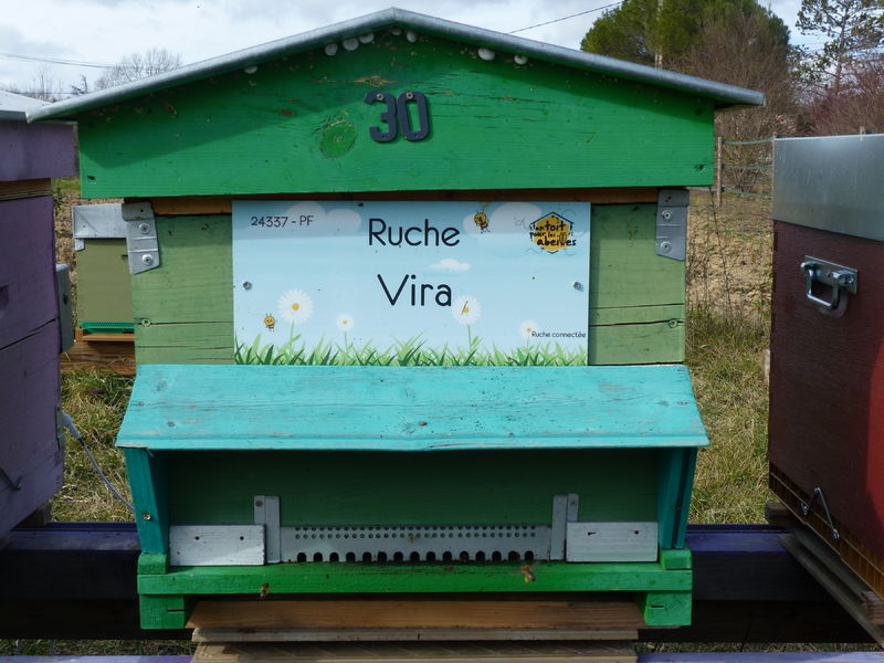 La ruche Vira