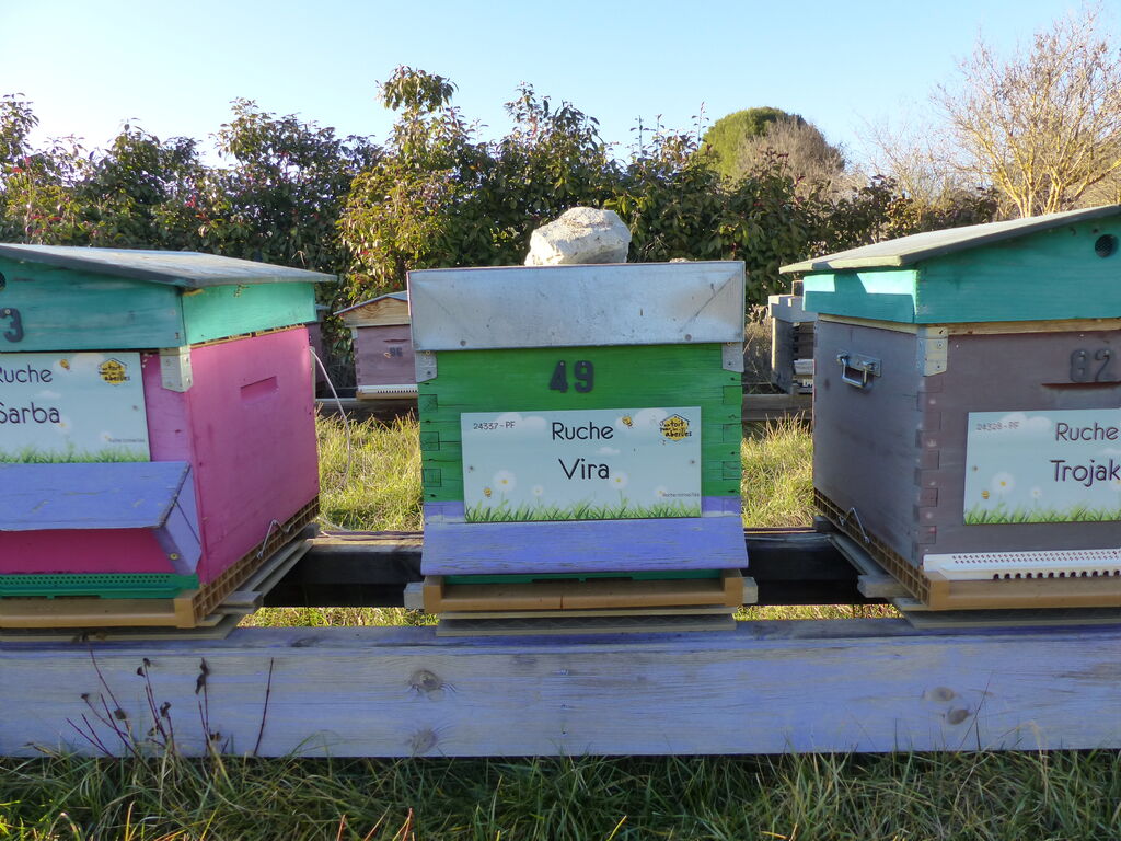 La ruche Vira