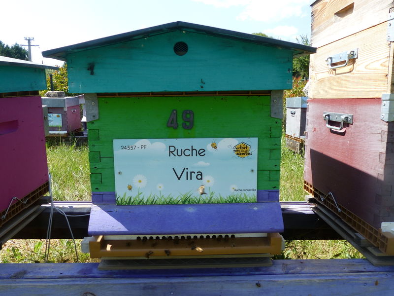 La ruche Vira