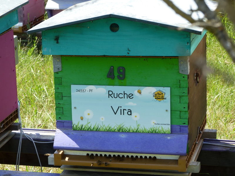 La ruche Vira