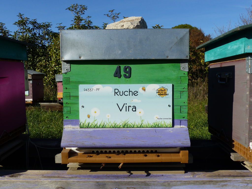 La ruche Vira