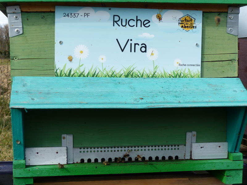La ruche Vira