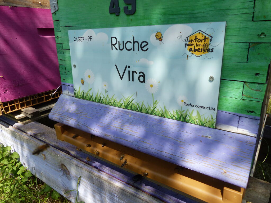 La ruche Vira