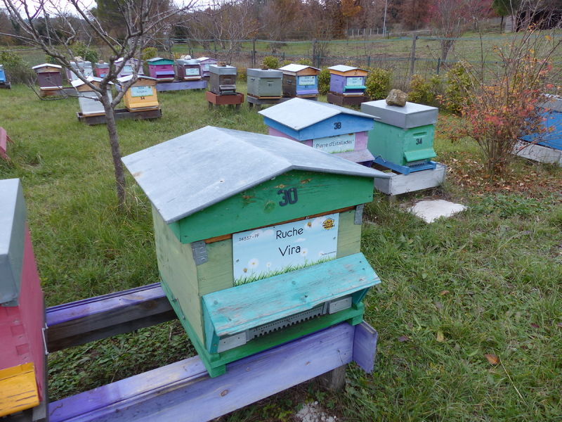 La ruche Vira