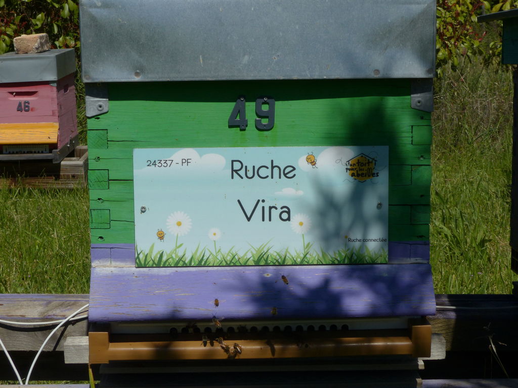 La ruche Vira
