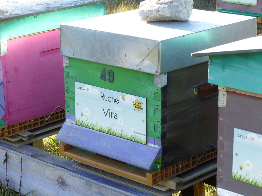 La ruche Vira