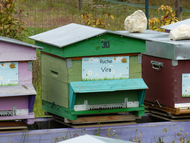 La ruche Vira