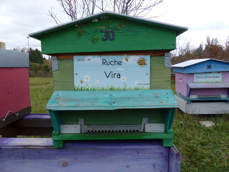 La ruche Vira