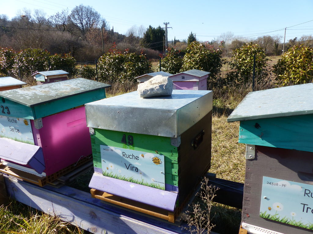 La ruche Vira
