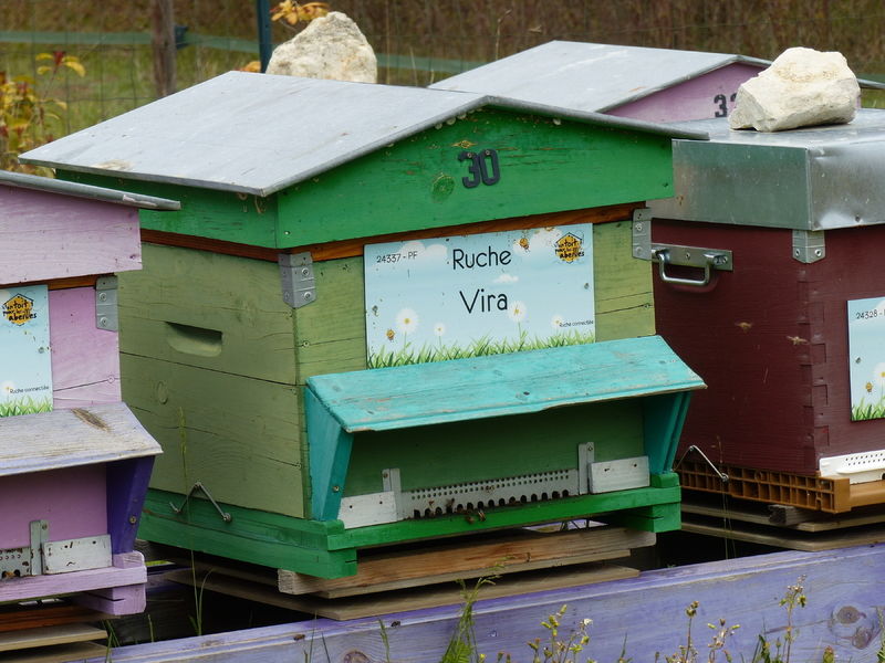 La ruche Vira